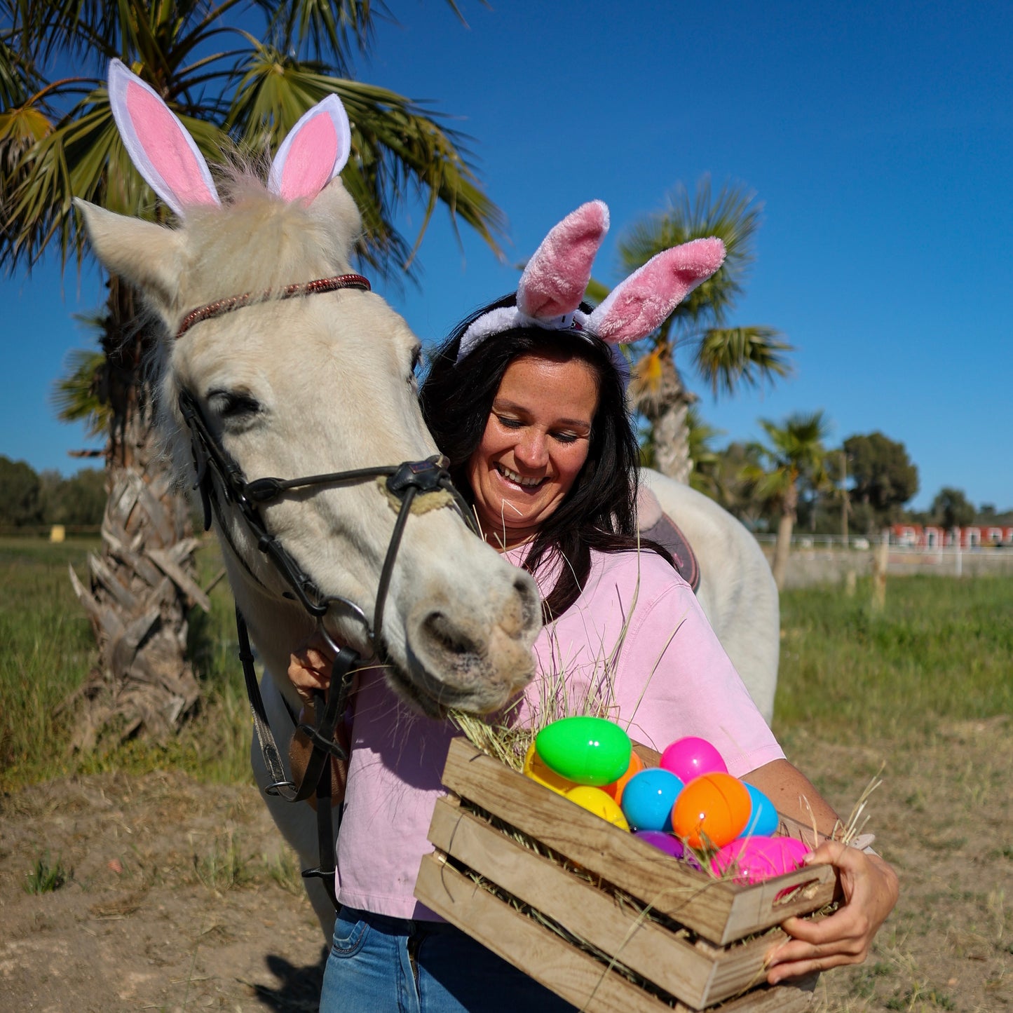 Gutschein Fotoshooting mit Pferd auf Mallorca